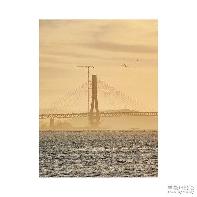 《每周星鮮事》 第123期:三星W23|W23 Flip新品預售 火熱開啟