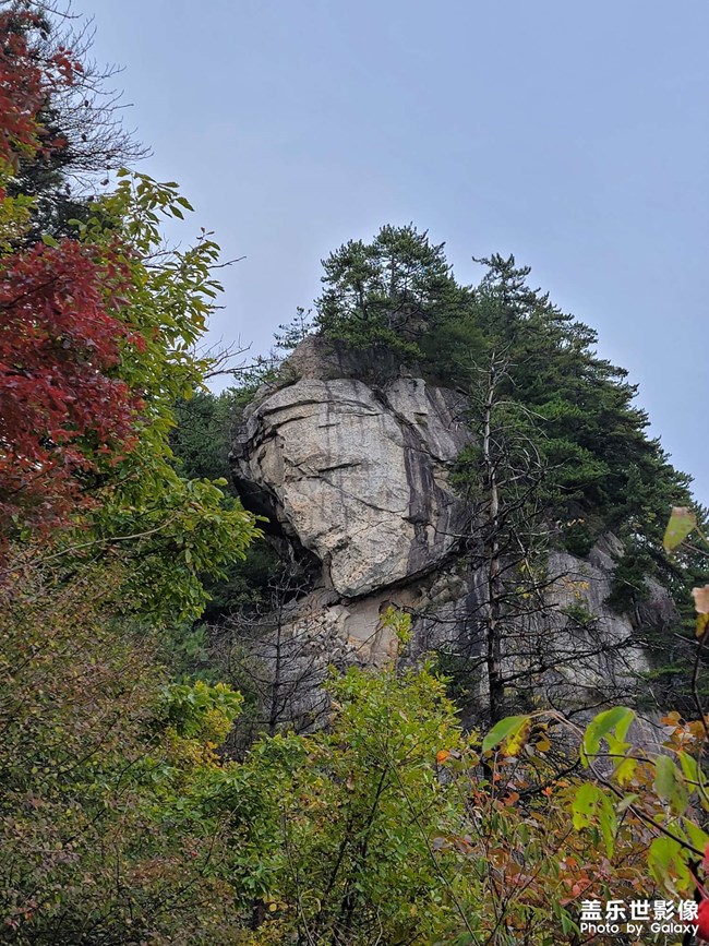 《每周星鮮事》 第123期:三星W23|W23 Flip新品預售 火熱開啟