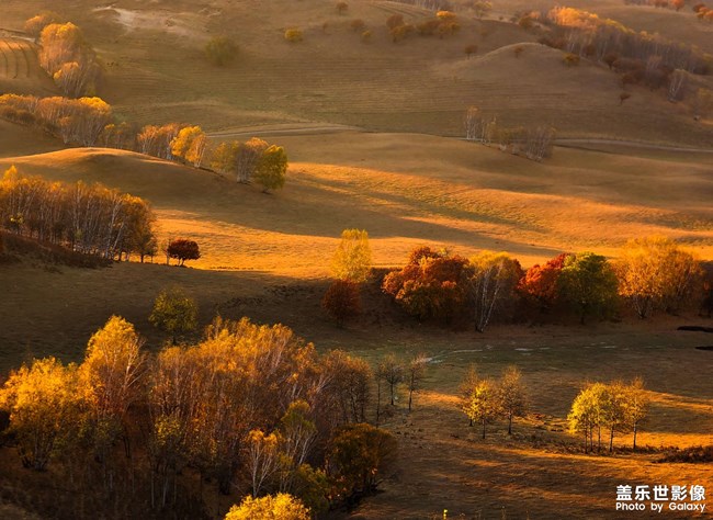 《每周星鮮事》 第123期:三星W23|W23 Flip新品預售 火熱開啟