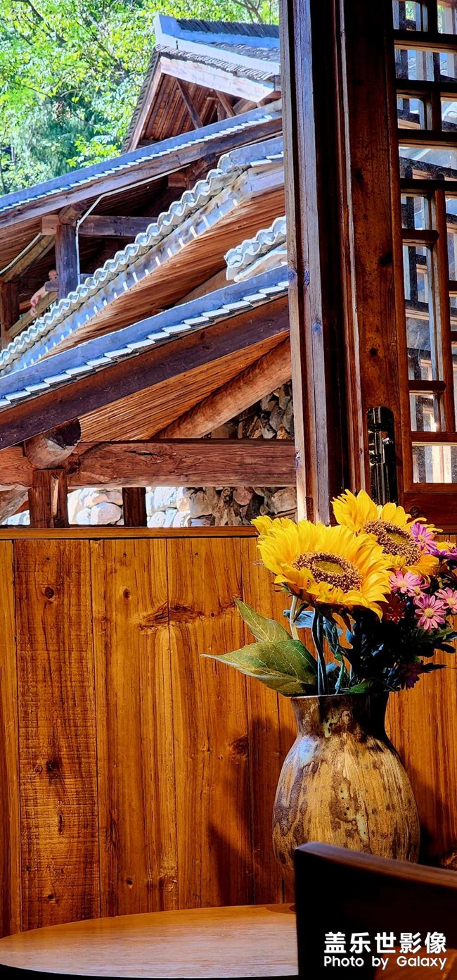 《每周星鮮事》 第123期:三星W23|W23 Flip新品預售 火熱開啟