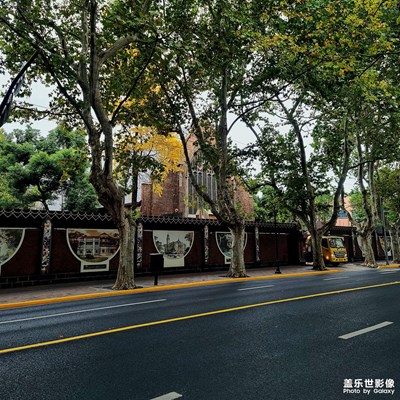 隨手拍