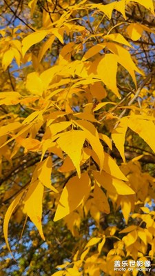 人間忽晚，山河已秋