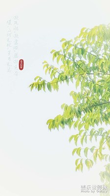 長焦的魅力