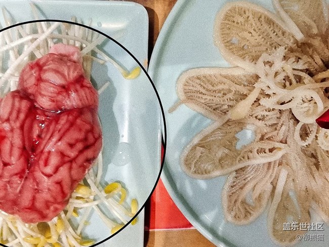 【十月開“星”樂】+十一假期去成都