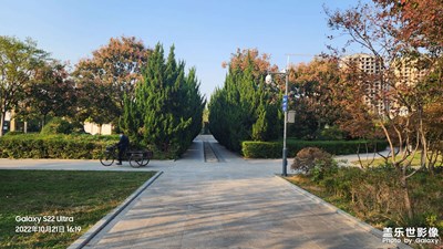【好風光】+ 公園隨拍