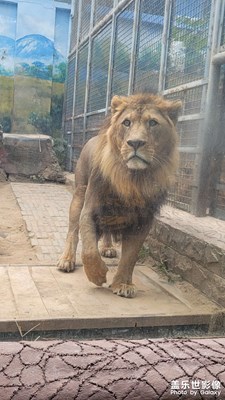 動物園