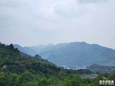 山清水秀鳥語花香