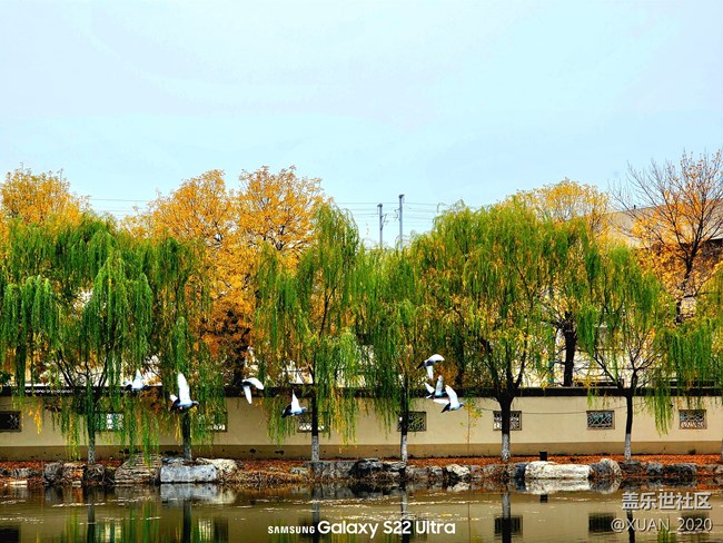 【色彩構成】+秋日色彩