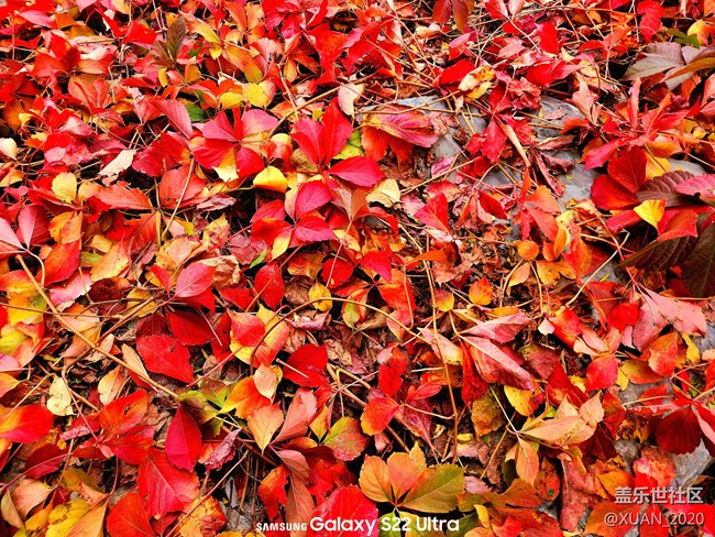 【色彩構成】+秋日色彩