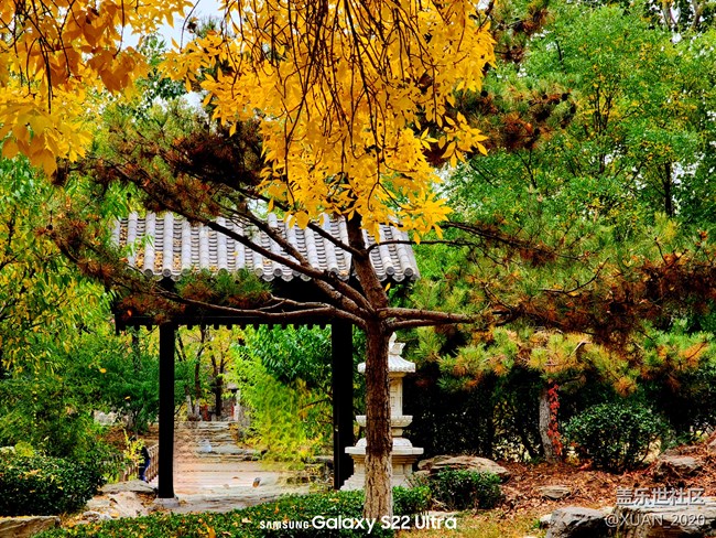 【色彩構成】+秋日色彩