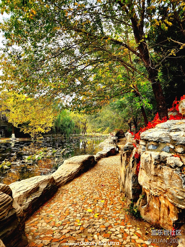 【色彩構成】+秋日色彩