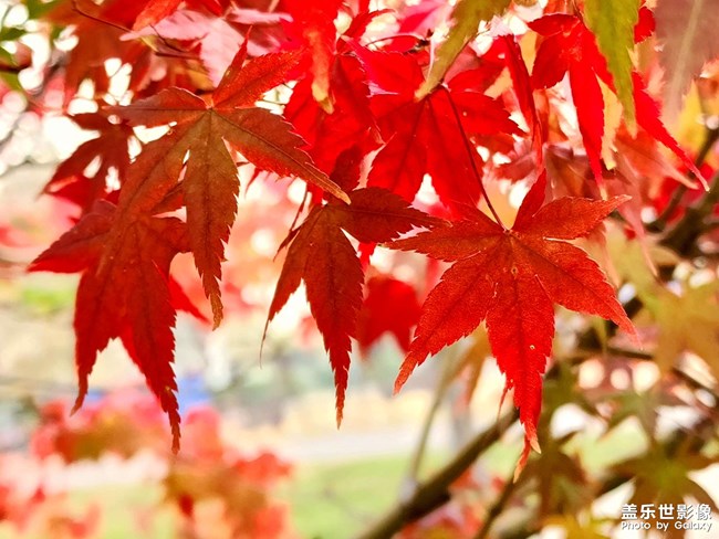 《每周星鮮事》 第124期: