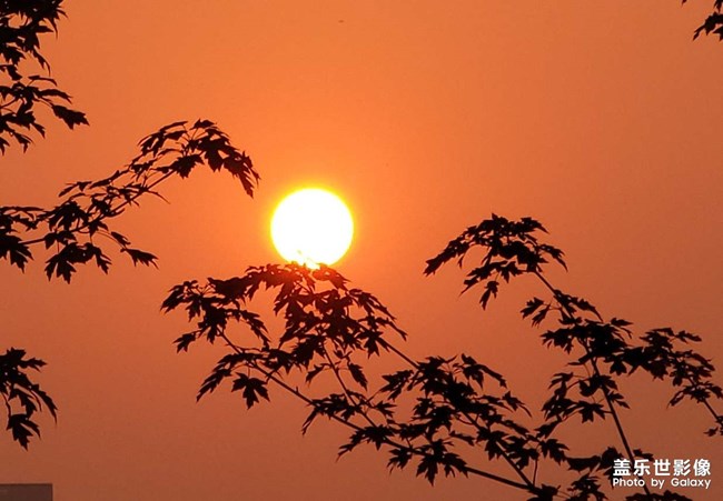 《每周星鮮事》 第124期: