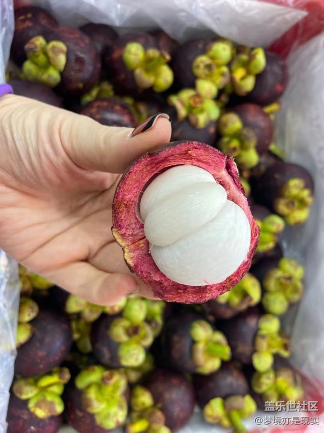 【色彩構(gòu)成】水果撈的構(gòu)成