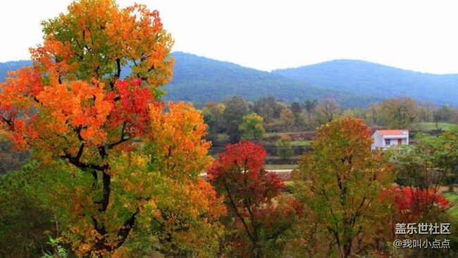 【十月開“星”樂】爬山看風(fēng)光