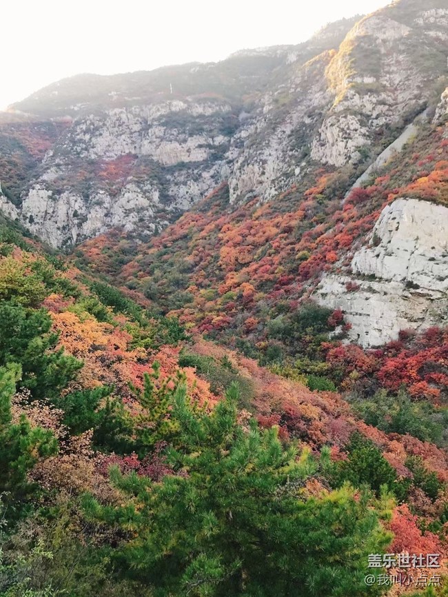 【十月開“星”樂】爬山看風(fēng)光