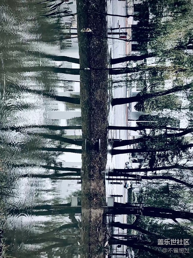 【色彩構成】白雪與綠葉