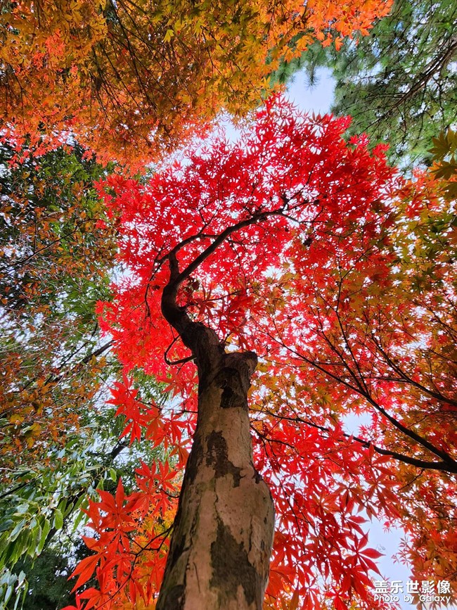《每周星鮮事》 第124期: