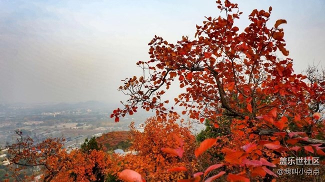 【十月開“星”樂】爬山看風(fēng)光