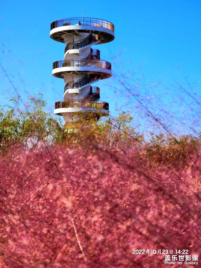 《每周星鮮事》 第124期: