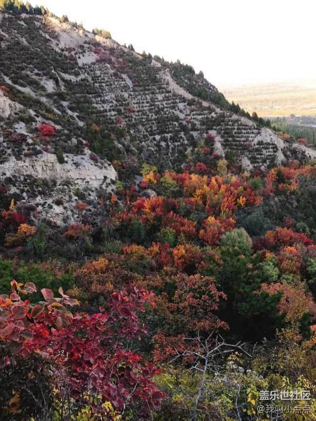 【十月開“星”樂】爬山看風(fēng)光