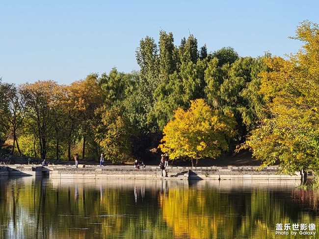 《每周星鮮事》 第124期: