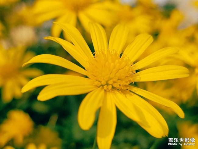 《每周星鮮事》 第124期: