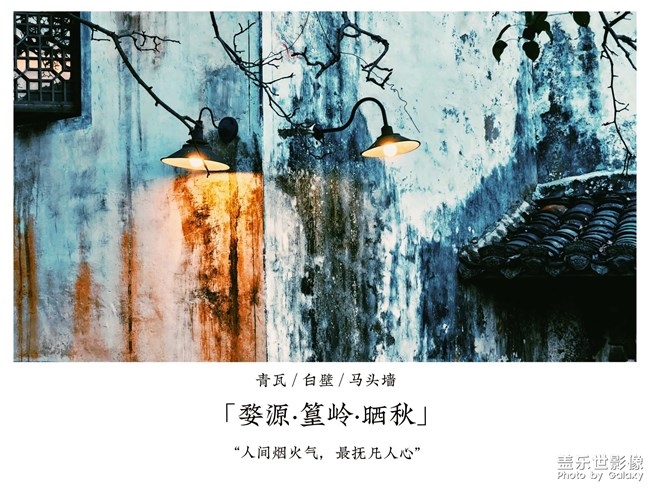 《每周星鮮事》 第124期: