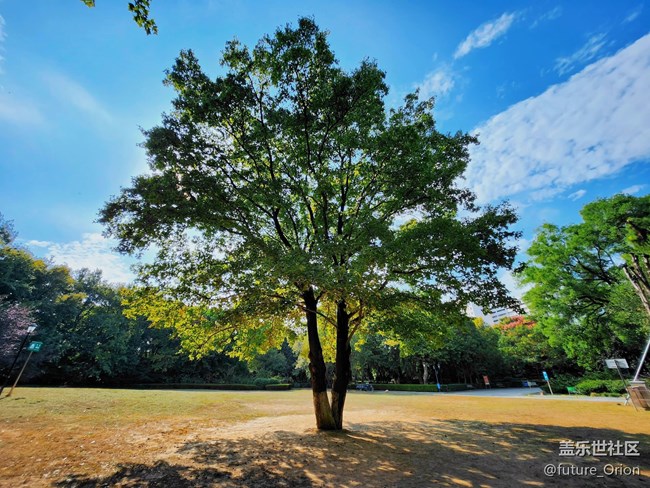 【精致、小巧、時尚】Galaxy Z Flip 4上手體驗(yàn)