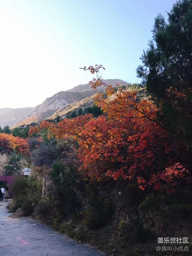 【十月開“星”樂】爬山看風(fēng)光