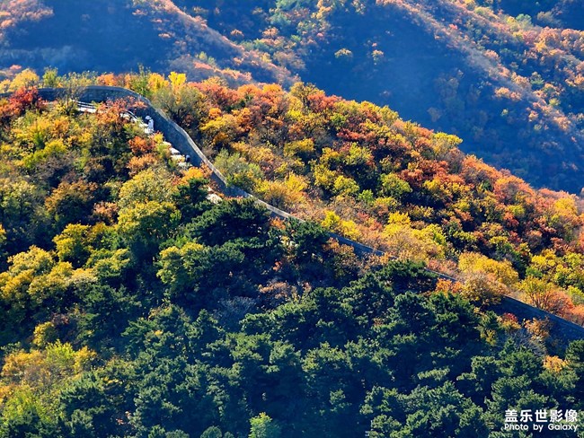 《每周星鮮事》 第124期: