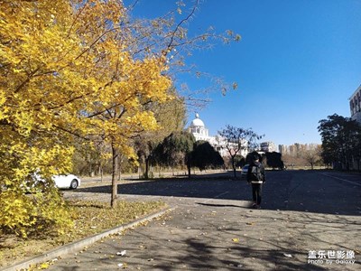 沈陽秋意