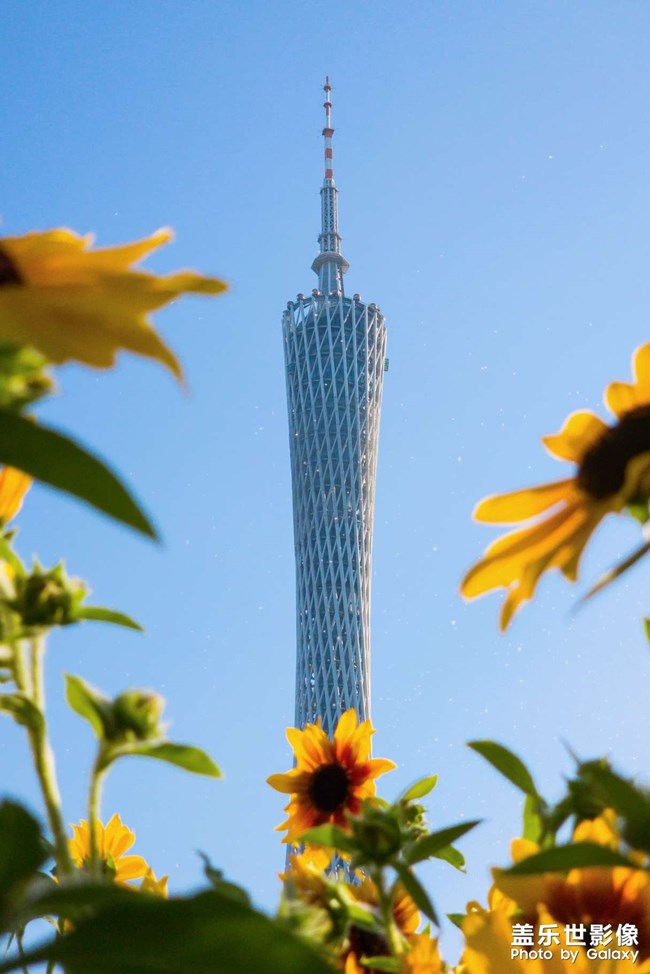 《每周星鮮事》 第124期: