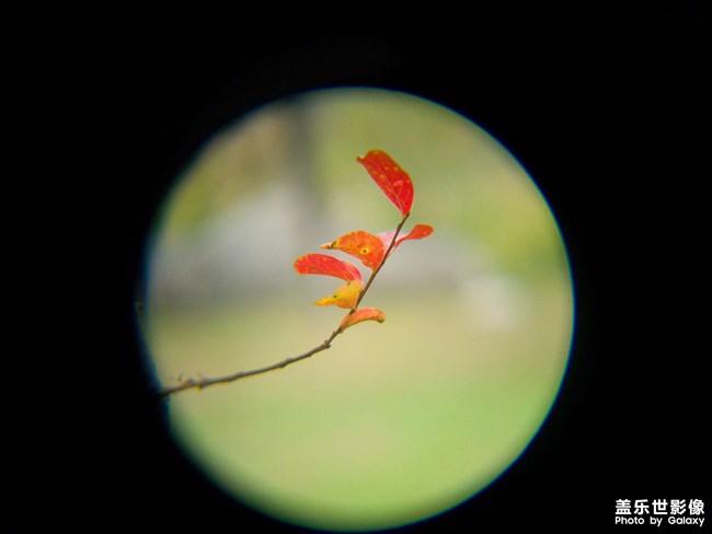 《每周星鮮事》 第124期: