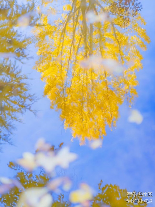 色彩构成  秋天的黄