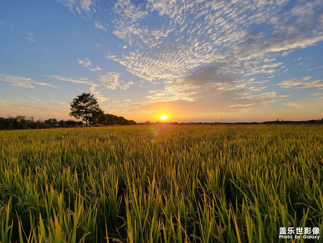 《每周星鮮事》 第124期: