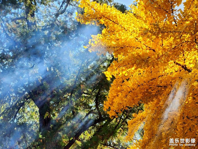 《每周星鮮事》 第124期: