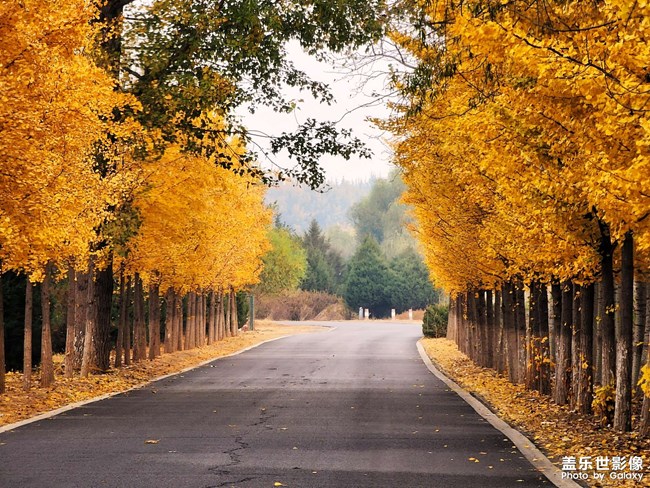 《每周星鮮事》 第124期: