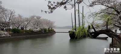 無(wú)錫黿頭渚