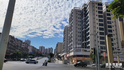 隨手拍