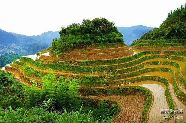 【美之間】梯田美景