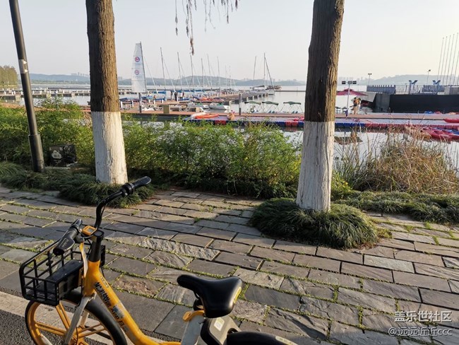 【武漢的街】充實(shí)吧