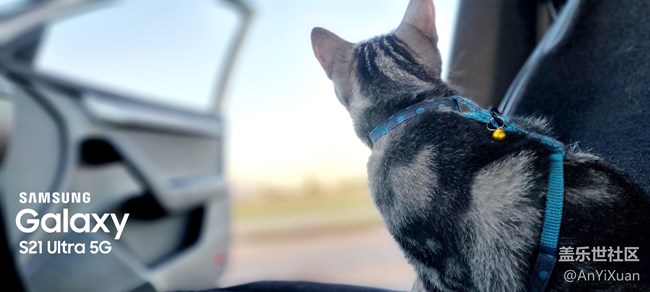 【美之間】愛有回饋只因有你??