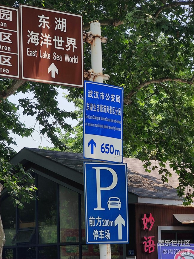 【武漢的街】晴朗的天