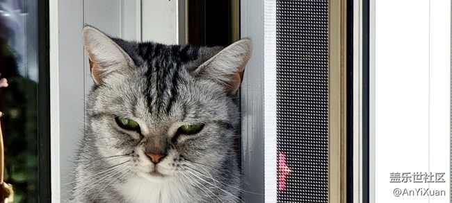 【美之間】愛有回饋只因有你??