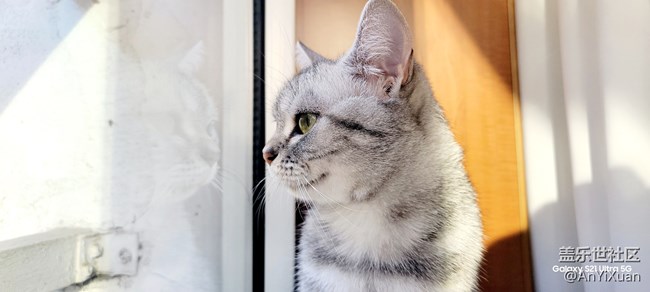 【美之間】愛有回饋只因有你??