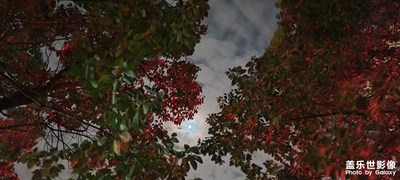 三星夜拍模式
