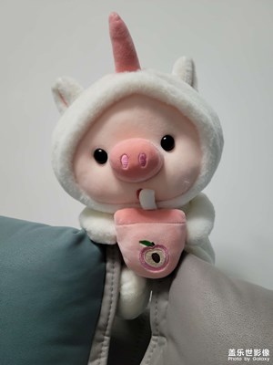 家里的一角