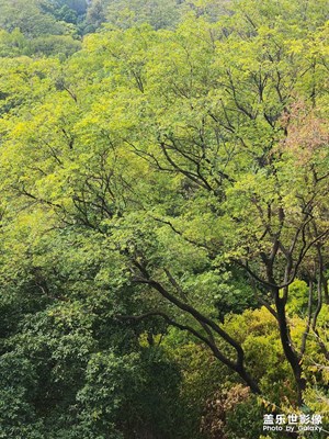 雀兒山戶外風(fēng)景隨手拍