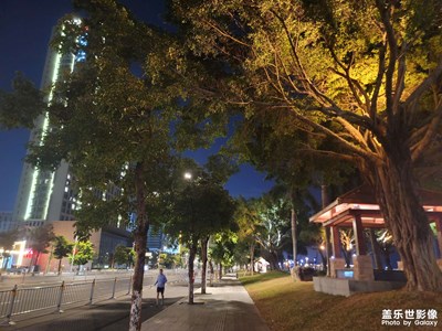 海濱路夜行